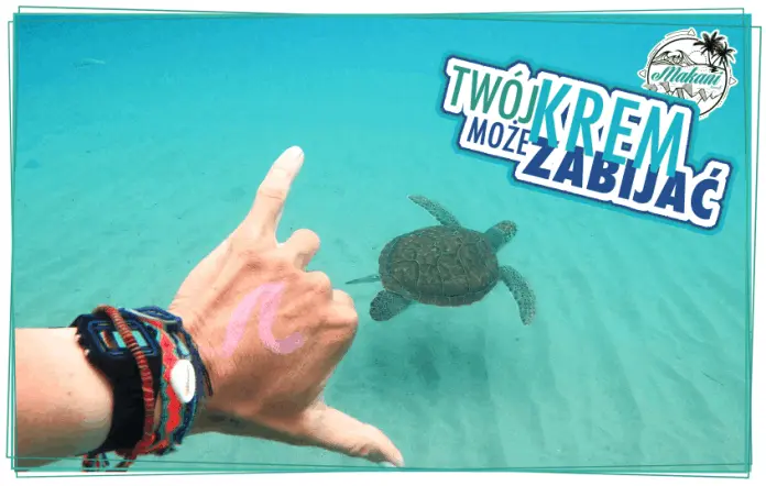 Makani Travel Szkoła Kitesurfingu