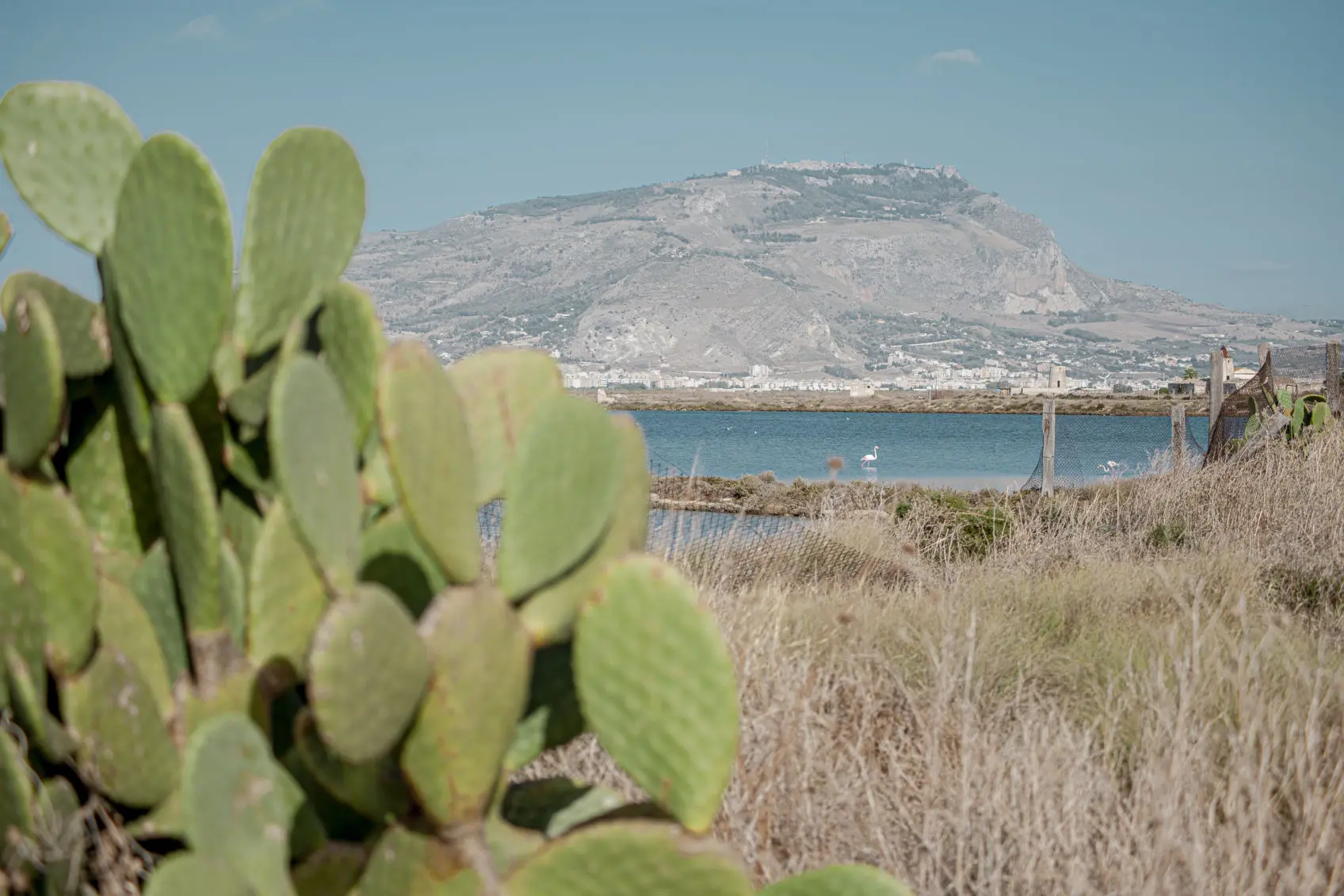 Obozy kite kitesurfingowe na sycylii lo stagnone salinas