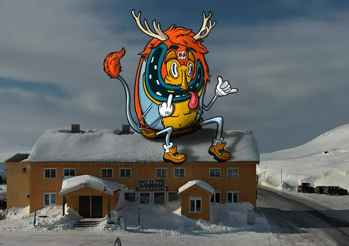 Makani Travel Szkoła Kitesurfingu Snowkite w Norwegii